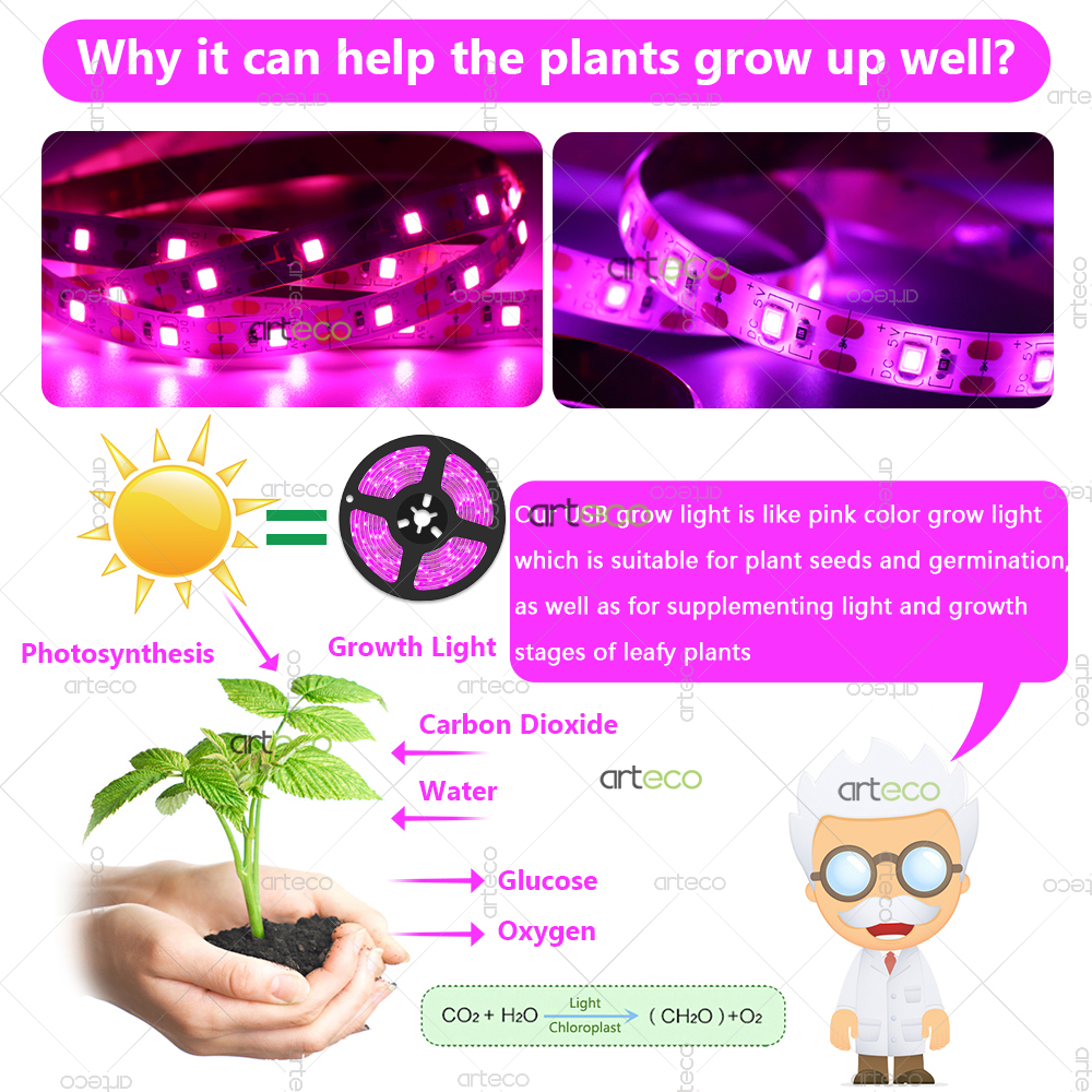 Luz Led USB para cultivo de plantas con caja de batería, tira de luces de cultivo de espectro completo de 5V, lámpara Phyto Led 2835 para plantas, invernadero hidropónico