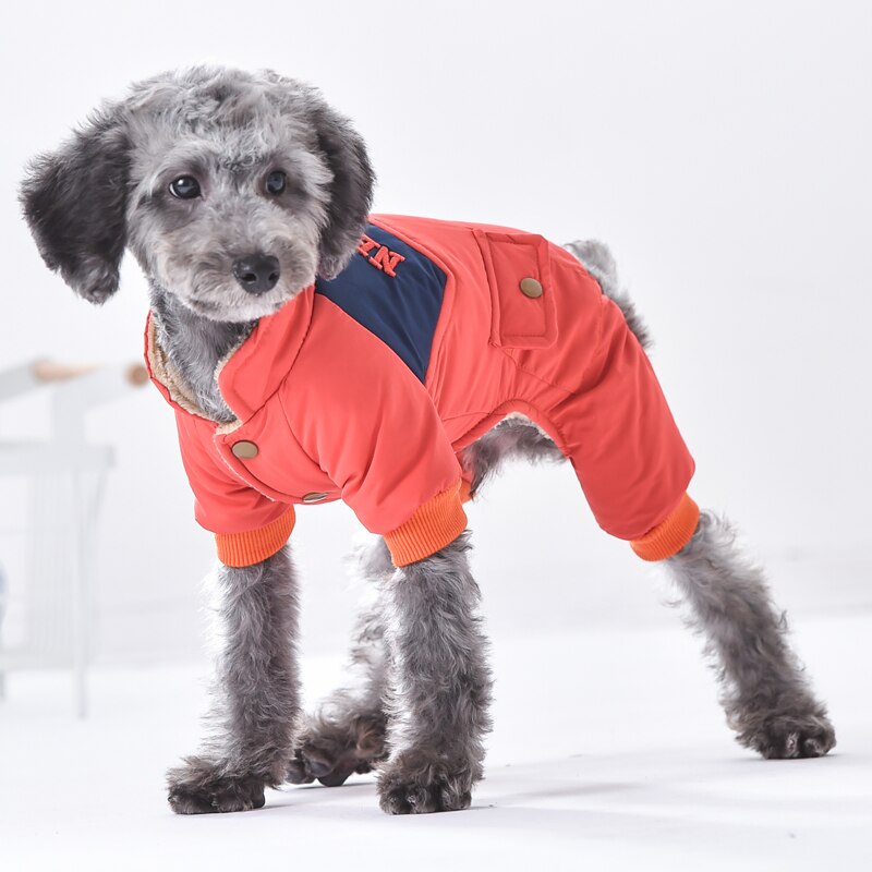 Sport hunde kæledyr tøj blå rød jakke vinter varm lille hvalp dyr bichon legetøj terrier pibull fire ben tøj dyrehandler varer