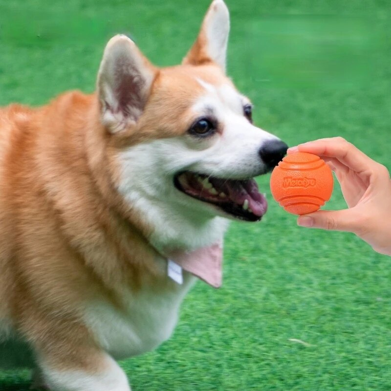 Dog Toys Ball Pet Dog Bouncy Rubber Solid Ball Resistance To Chew Toys Outdoor Throwing Recovery Training for Dogs