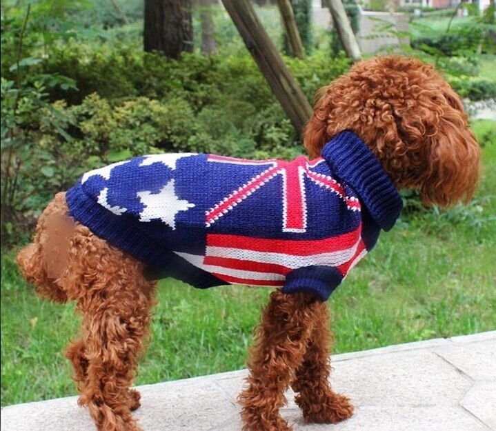 Auntumn-pull pour petit chat | Pull pour animal de compagnie, chien bleu, chat, manteau chasuble pour petits chiens, chiot, chien