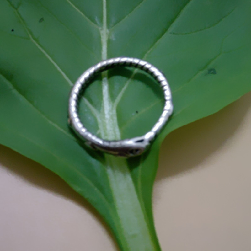 Retail Ouroboros ring Charmante oude zilveren ring herstellen van oude manieren kerstcadeaus