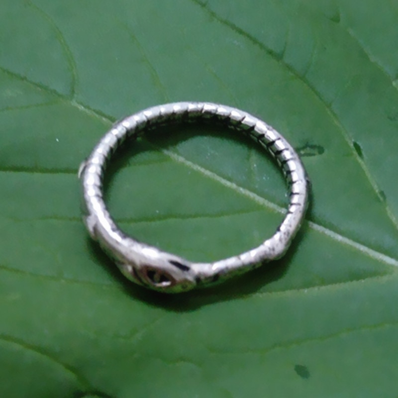 Retail Ouroboros ring Charmante oude zilveren ring herstellen van oude manieren kerstcadeaus