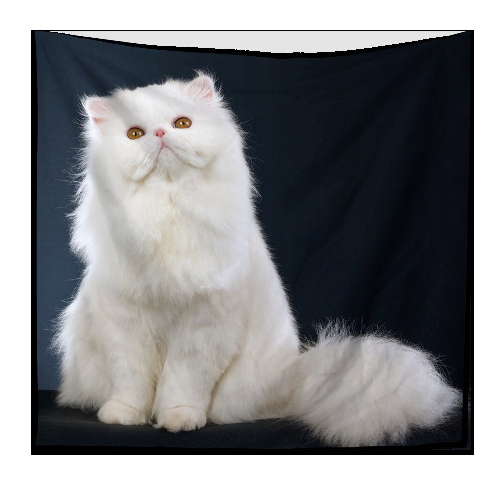 Nordic Natural View Tapestry Persian Cat Pattern Living Room Bedroom Home Decor Dirt-resistant Wall Hanging Chic Ornaments: 200X150cm / TP1054-2