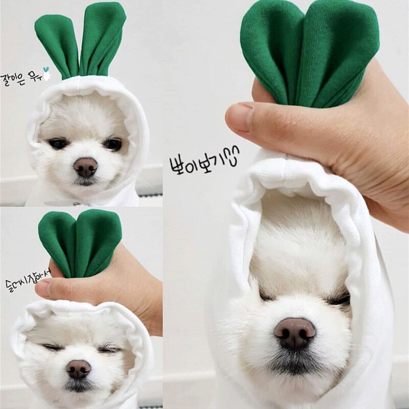 ¡Novedad de otoño! Suéter bonito para mascotas de rábano, ropa para perros pequeños, ropa para perros Bichón Hiromi VIP para cachorros y gatos: S