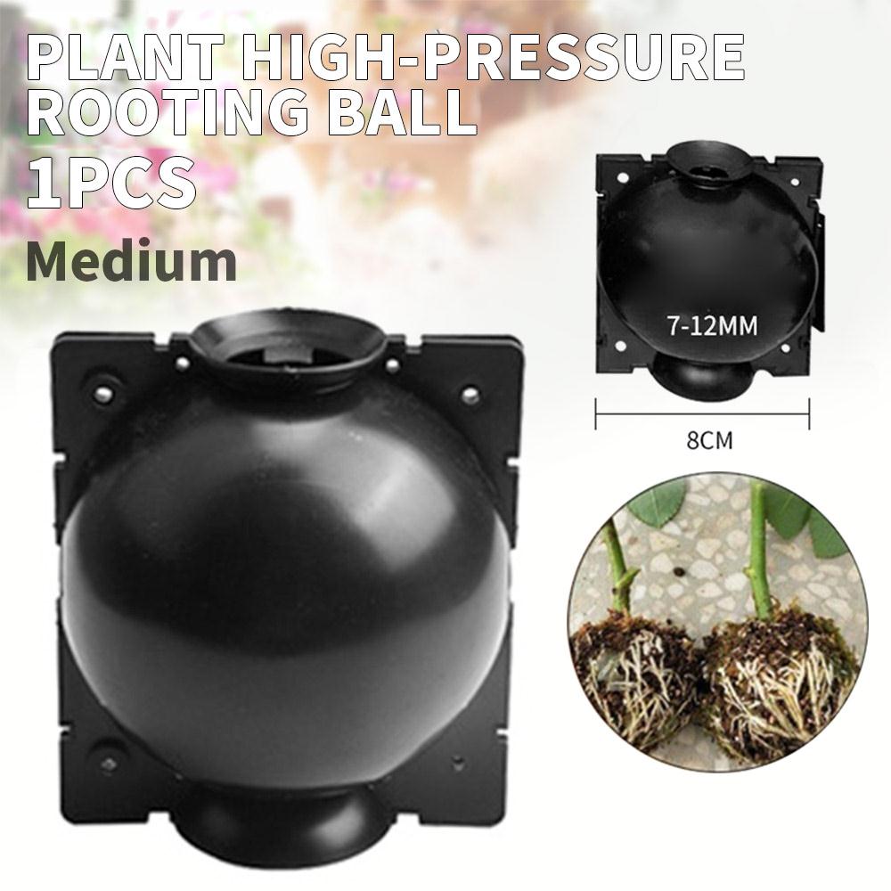5Pcs Plant Propagation Box Balcony Beautiful Pp Plastic Economic Garden Plant Rooting Ball Flowerpot Planter Home: 1pcs black M