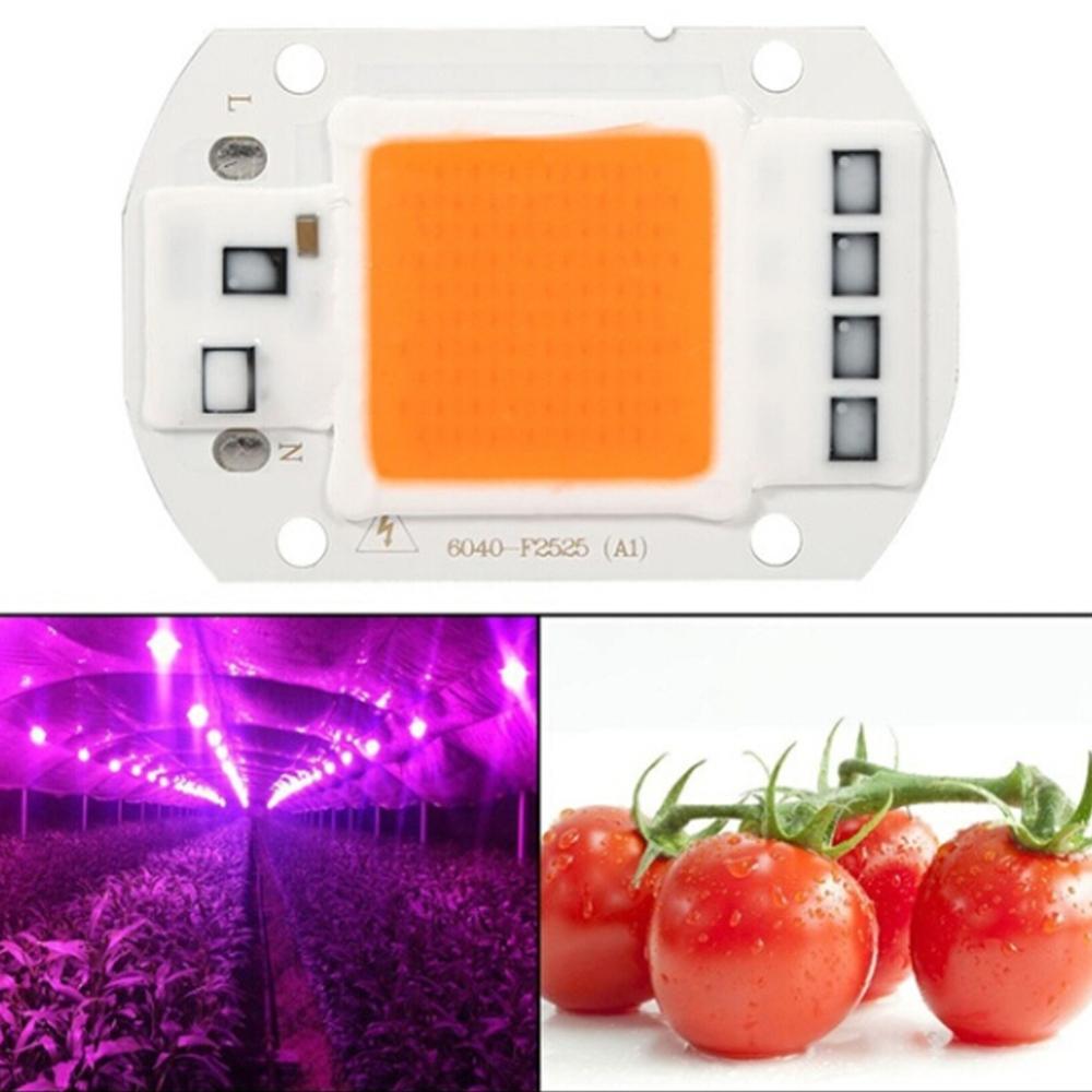 Lampe horticole de croissance LED COB, spectre complet, pour culture intérieure de plantes, semis et floraison, ac 110/220V, 20/30/50W: 50W 220V