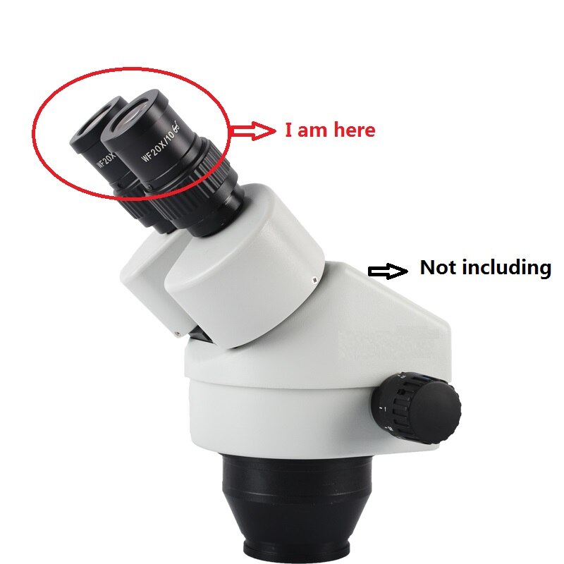 WF20X Stereo Microscope Eyepiece High Eye-point Wide Field Optical Eyepiece Ocular Lens with Reticle Scale Diameter 30/30.5 mm