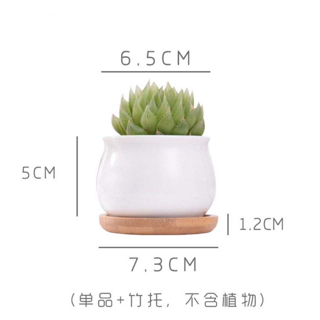 Macetero de porcelana de cerámica blanca minimalista para plantas suculentas, macetero de porcelana decorativo para escritorio, maceta para decoración del hogar, 1 olla + 1 bandeja: 03