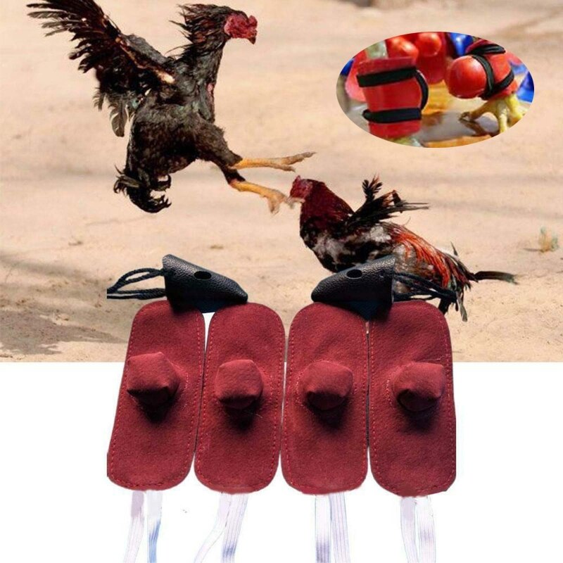 517E – mitaine coq en cuir, Kit d&#39;outils de combat Gallos, fournitures de Protection de combat pour poules, animaux de ferme, accessoires de poulailler