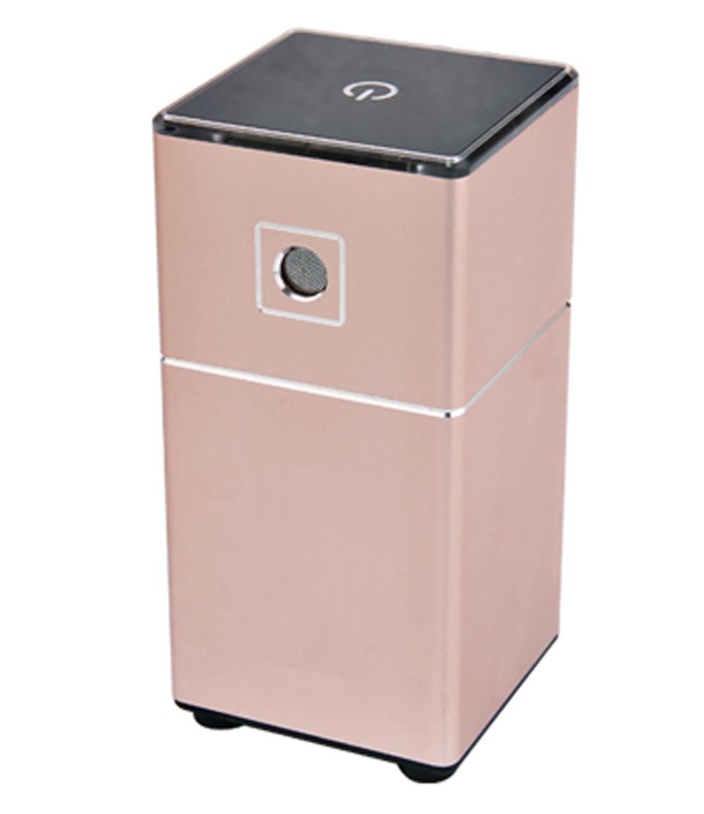 Portable Mini Ozone Generator Ionizer Air Purifier Sterilizing Deodorizer with Car Home USB Battery: Rose gold
