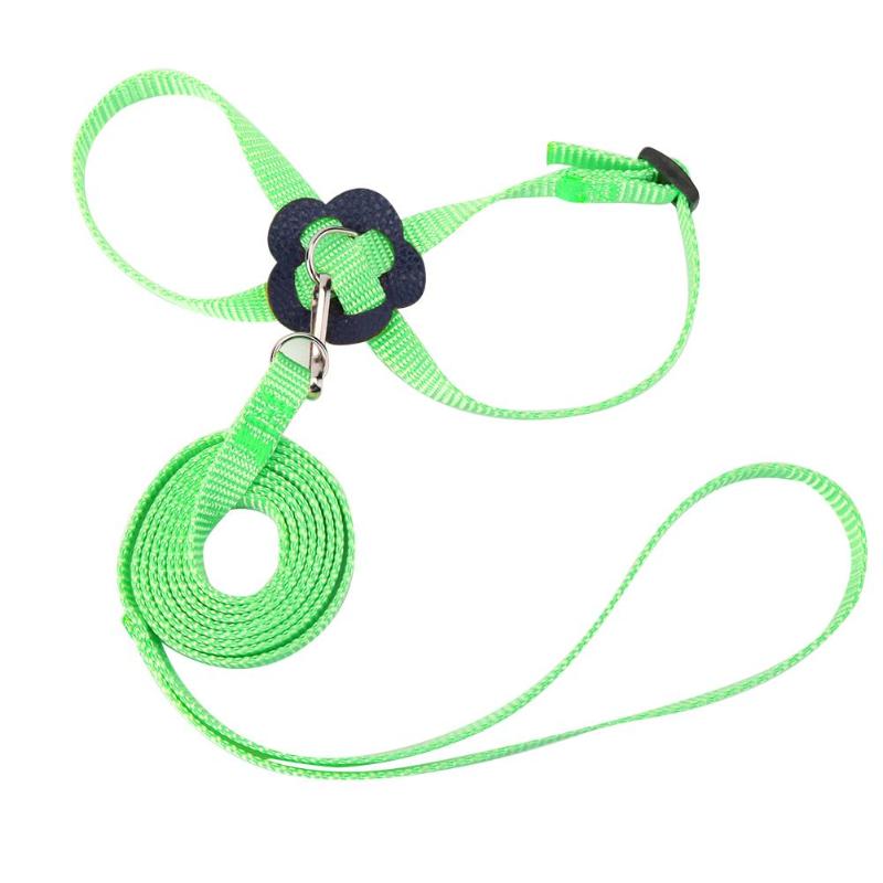 Papegaai Vogel Leash Verstelbare Harnas Huisdieren Anti Vliegende Outdoor Training Touw: green