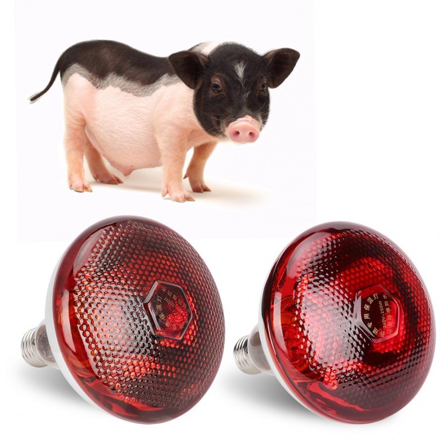 Pet Brooder Supplies E27 Preservation Heat Lamp Bulb Infrared Ray Light Bulb for Pig Chicken Animal Poultry 240V