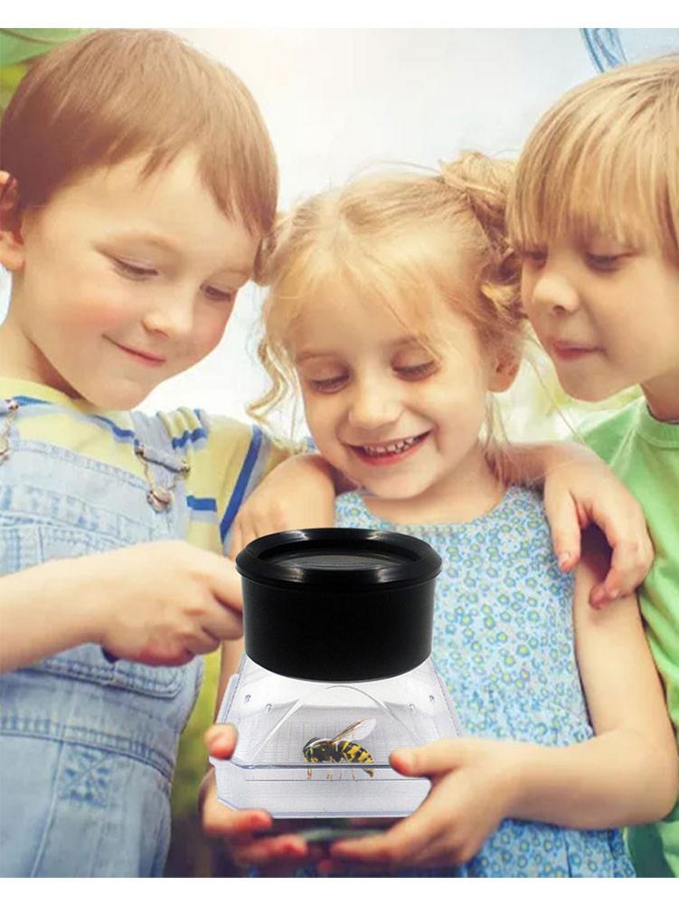 Reptile Terrarium Breeding Incubating Box Spider Frog Box Lizard Snake Turtle Tank Cylinder Cage Fish Tank For Eggs Incubation