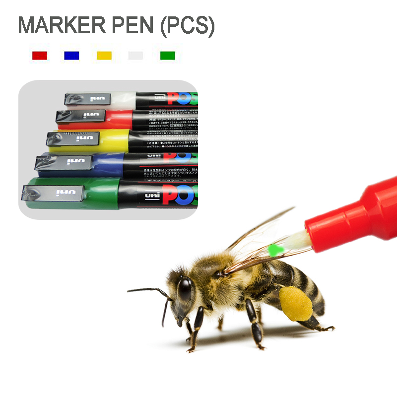 10Pcs/box Queen Bee Marker Pen Set non-toxic Beekeeping Marking Plastic Marks Pen And Bees Tools Queen Bee Mark Bee Tool 2020new