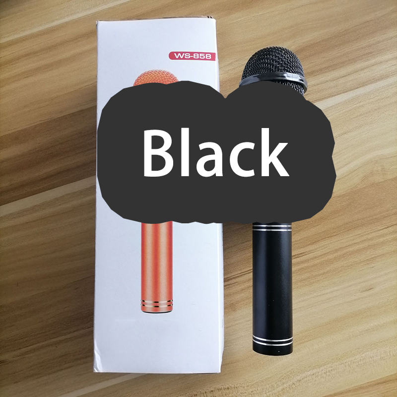 Bluetooth Function Bluetooth Microphones: black