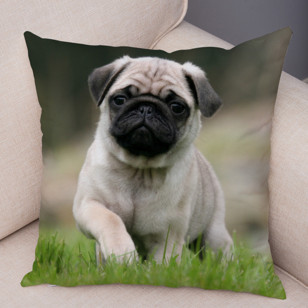 Housse de coussin carlin mignonne, oreiller décoratif imprimé pour animaux de compagnie, pour voiture, canapé, maison, en Polyester: 470*740mm / Bleu