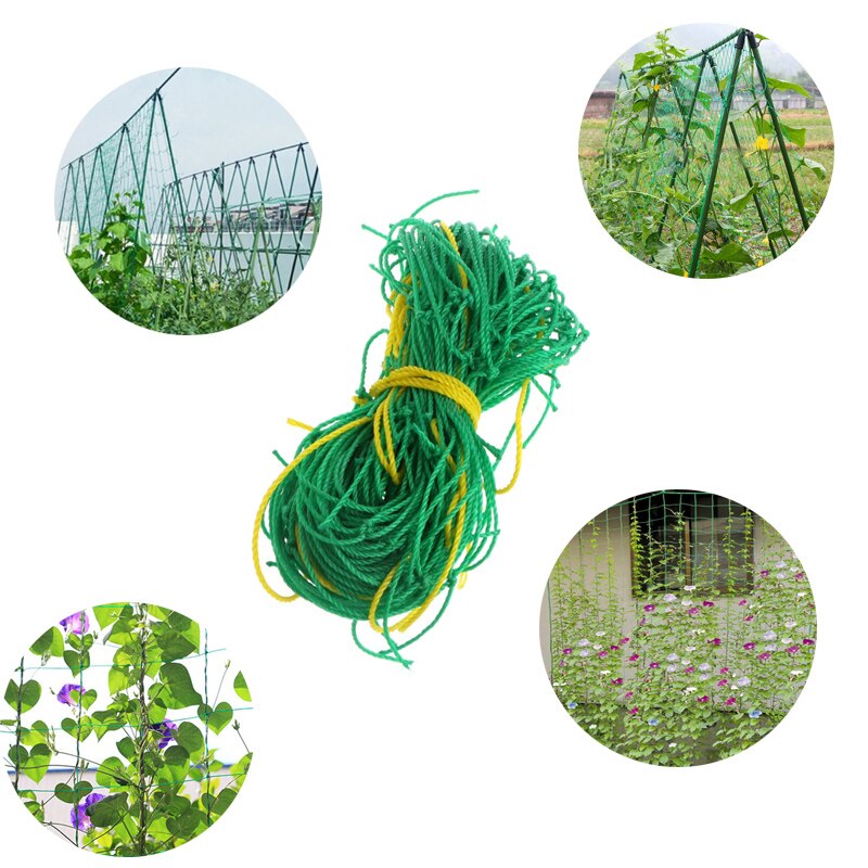 Plantestativ hagearbeid og utstyr plante klatreveggarmatur plante klatreveggklips planteholder støtte plante