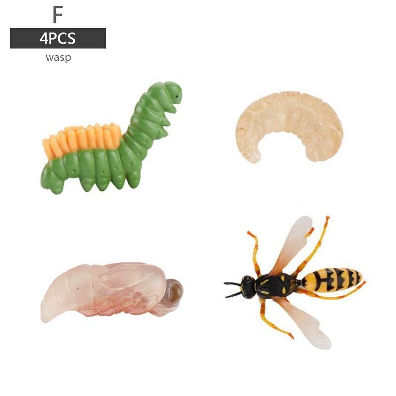 Simulatie Insect Bee Groei Cyclus Model Beeldjes Kikkers Zee Groei Mier Set Mosquito Model Cyclus Cijfers Kip Speelgoed T G5N