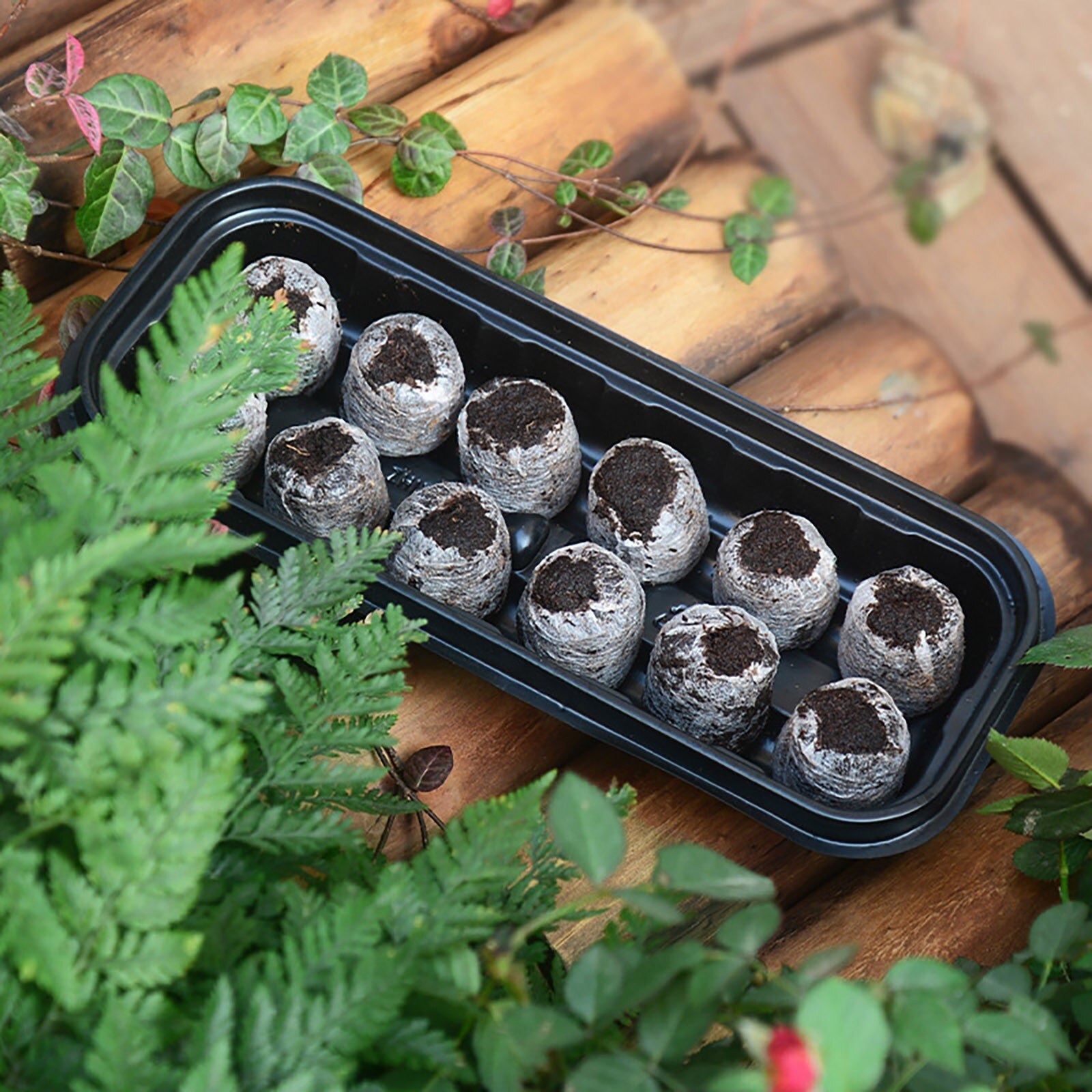 Long Sowing Seedling Tray With 12 Gr id Seedling Block Gardening Seed Box Home Gardening Seedling Tray