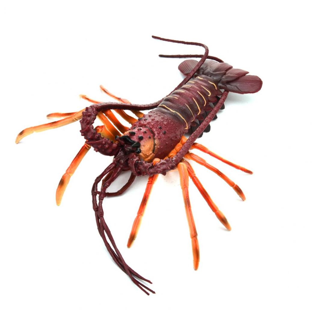 Homard artificiel modèle empereur foncé | Aquarium, Aquarium, jouet éducatif pour enfant, Simulation homard