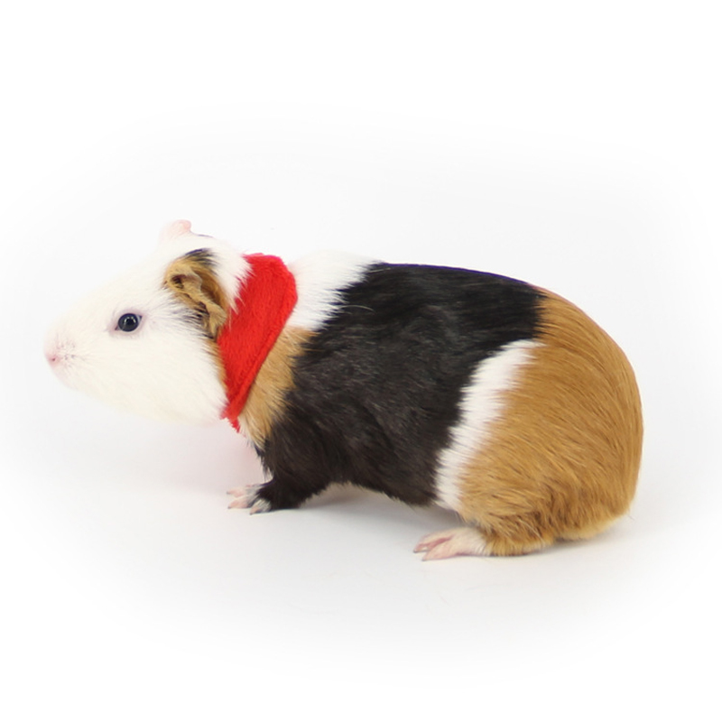 1 Pc Mooie Leuke Mini Rode Speeksel Handdoek Bandage Sjaal Kleine Dier Konijn Cavia Hamster Bib Eekhoorn Decoratie