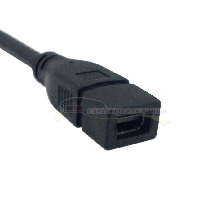 Xiwai DisplayPort DP Male to Mini DP DisplayPort Female Cable for Displays HDTV Monitor 20cm