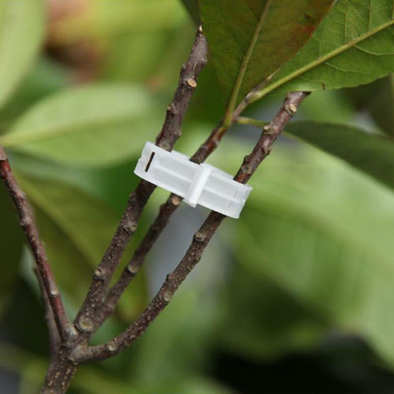 Herbruikbare plantensteun tuinklemmen voor klimgroenten, tomatenrek plantensteun tuintang voor klimgroenten