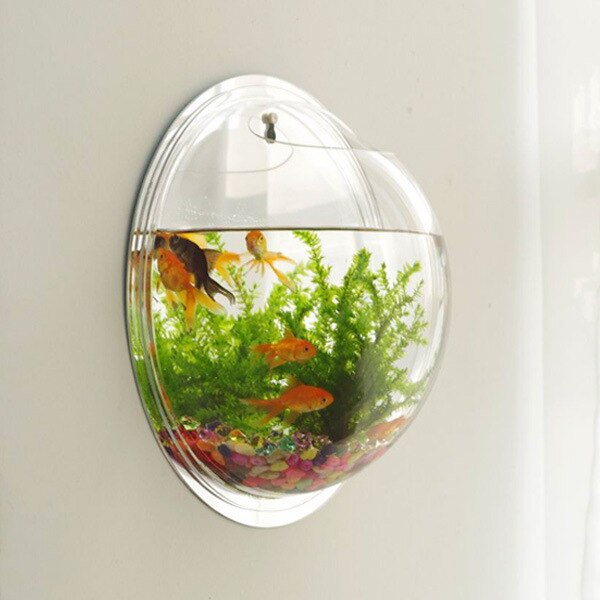 View of Wall-Mounted Fish Tank Wall-Mounted Vase Flower Po... – Vicedeal