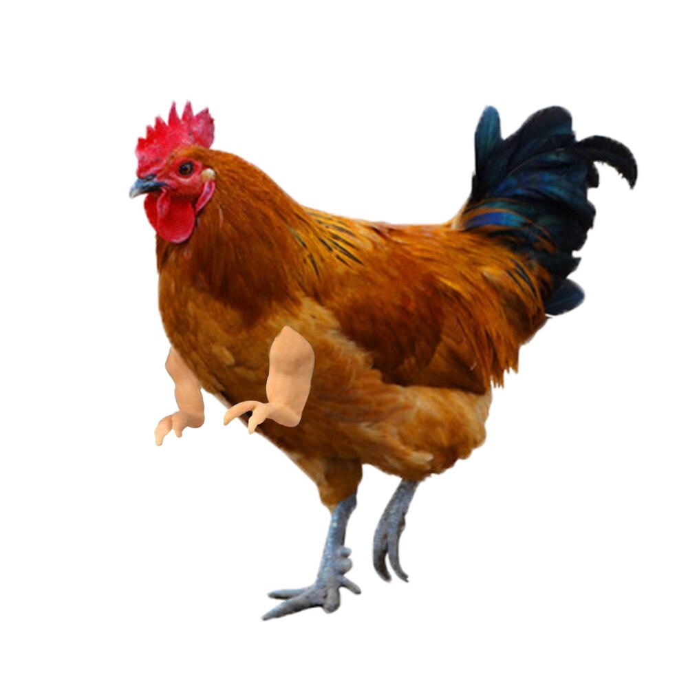 Arms For Chicken 3D Printed, Fist Arms Meme, Thumbs-Up Chicken Decoration