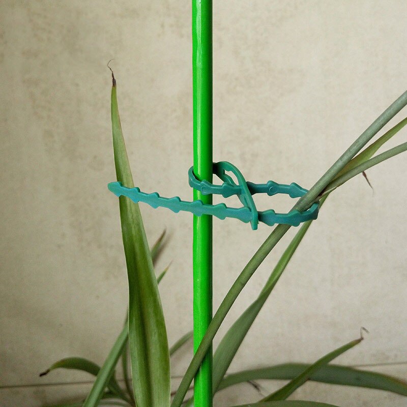 30 / 50 pieces of 13cm / 17cm / 23cm plastic plant cable tie fastener reusable garden tree climbing support plant vine tomato st