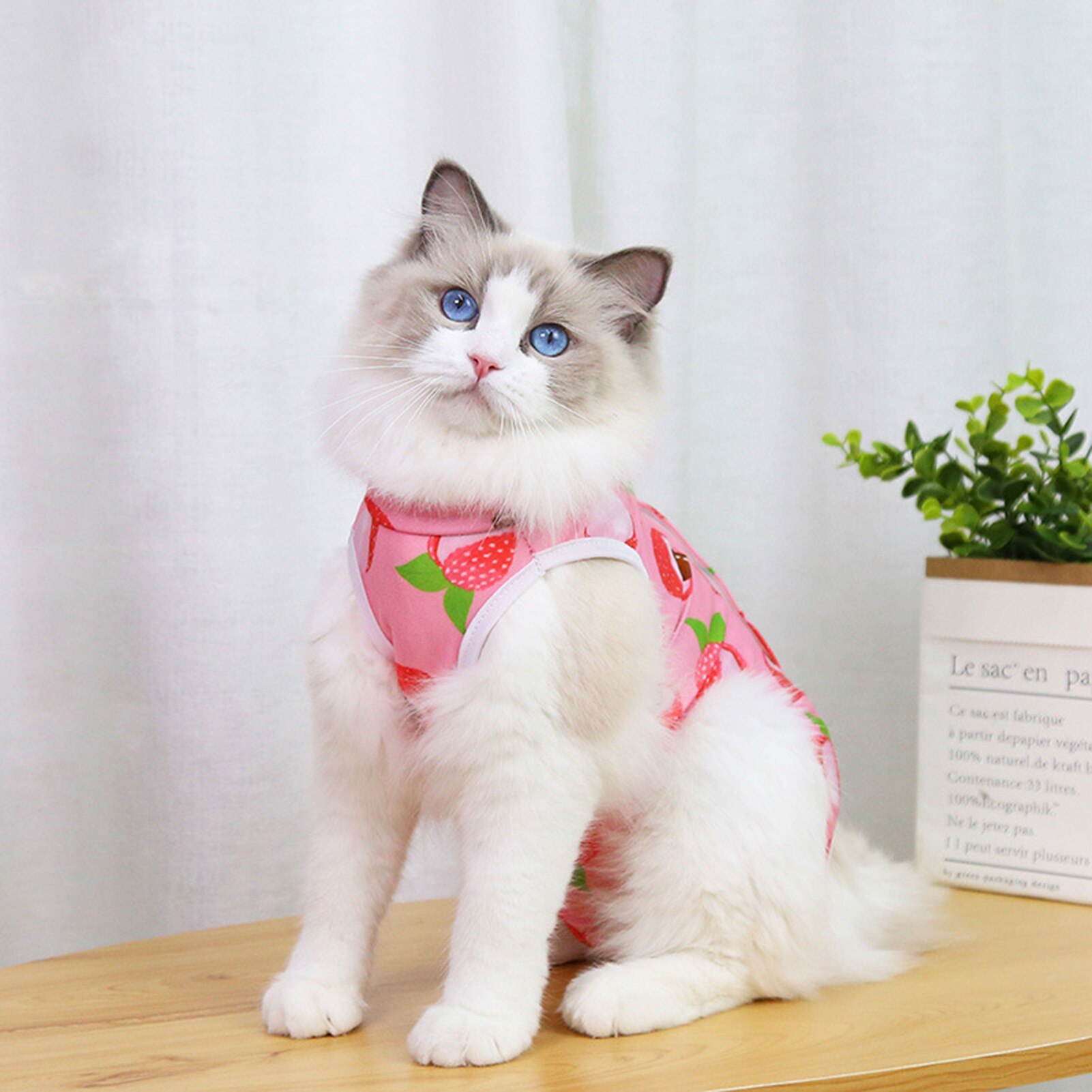 Weiche Kätzchen Bodysuit Katze Entwöhnung Anzug Druck vier-auf Beinen Anti Lecken Postpartale Tuch Nach der Betrieb Erholung Anzug für Haustier