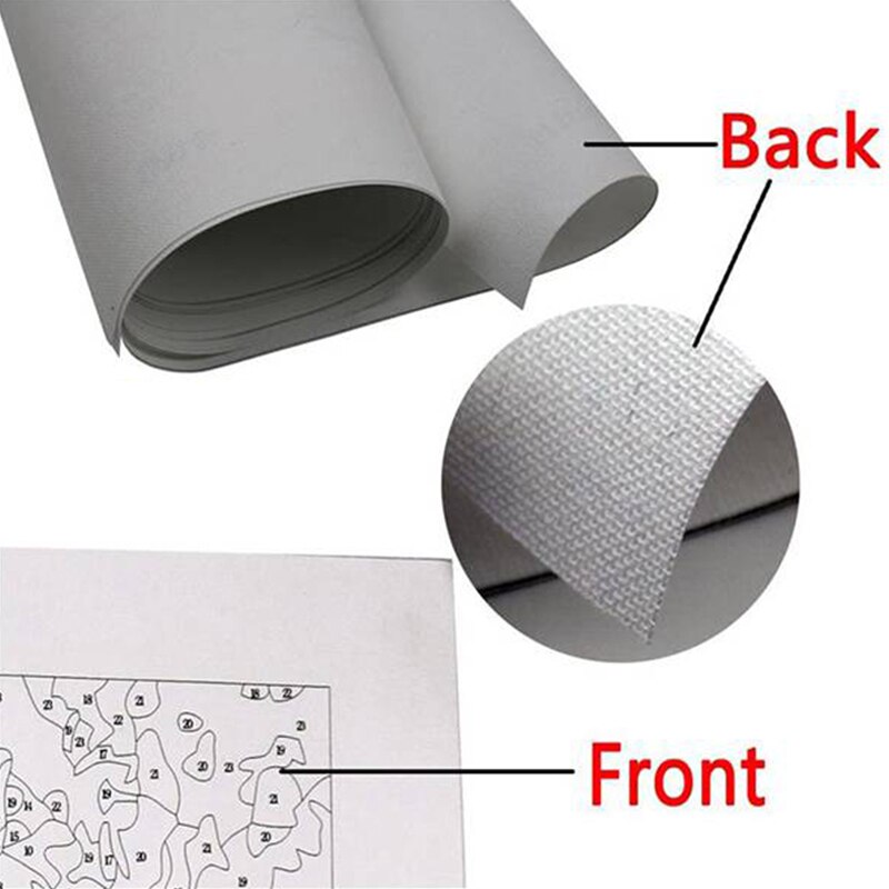 Paint By Numbers DIY Acrylic Painting Kit for Kids & Adults 40X45cm Kitten and Butterfly with 3 Brushes