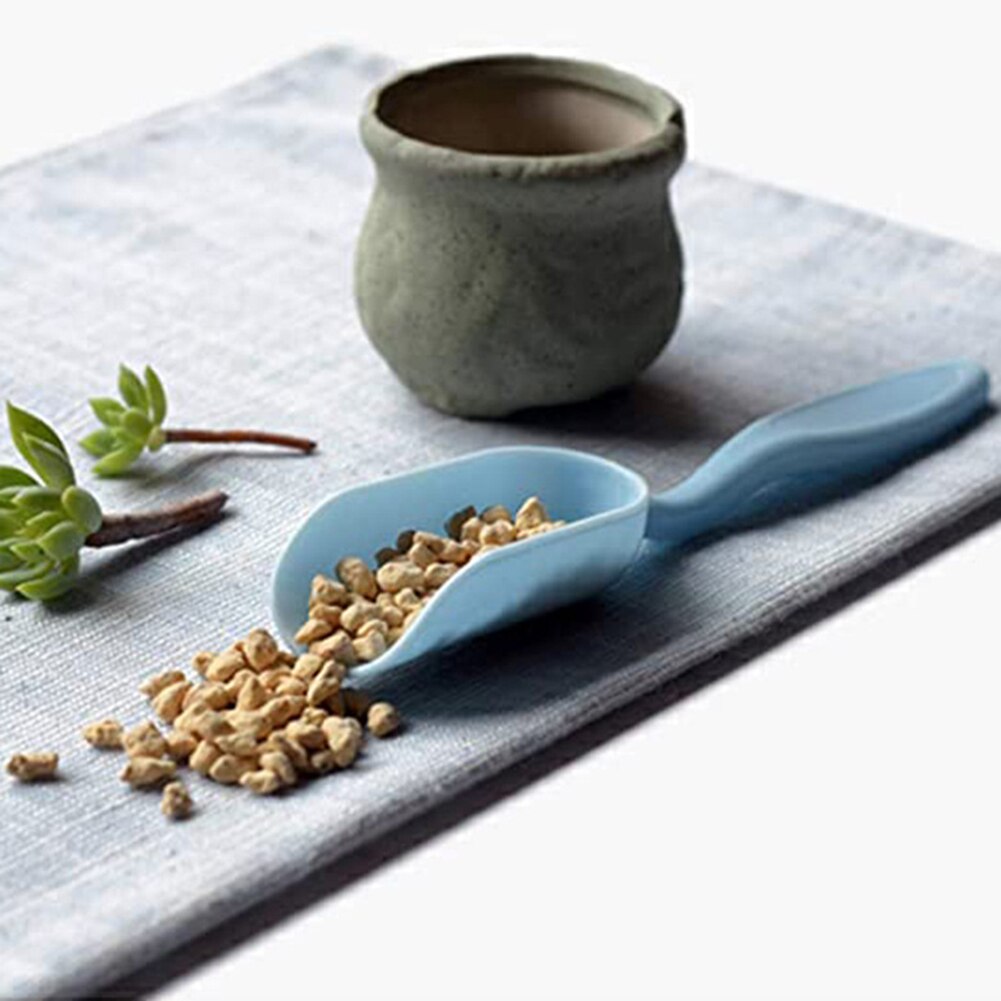 21 pièces/ensemble arrosage semis semis creuser jardin jardinière Kit Mini ménage bricolage outil Prune plante succulente repiquage