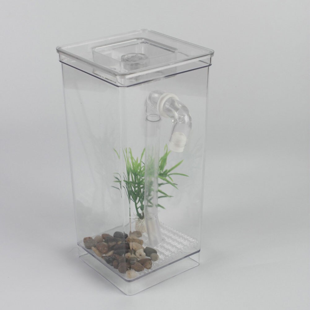 Desktop sjovt sæt økologisk akvarie akvarium selvrensende akvatiske kæledyrsartikler boligindretning guldfisk tank mini græs