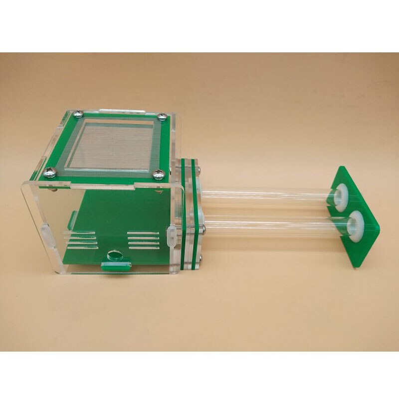 Groene dubbele reageerbuis mierennest acryl mierenboerderij acryl insecten terrarium: Kleur-e
