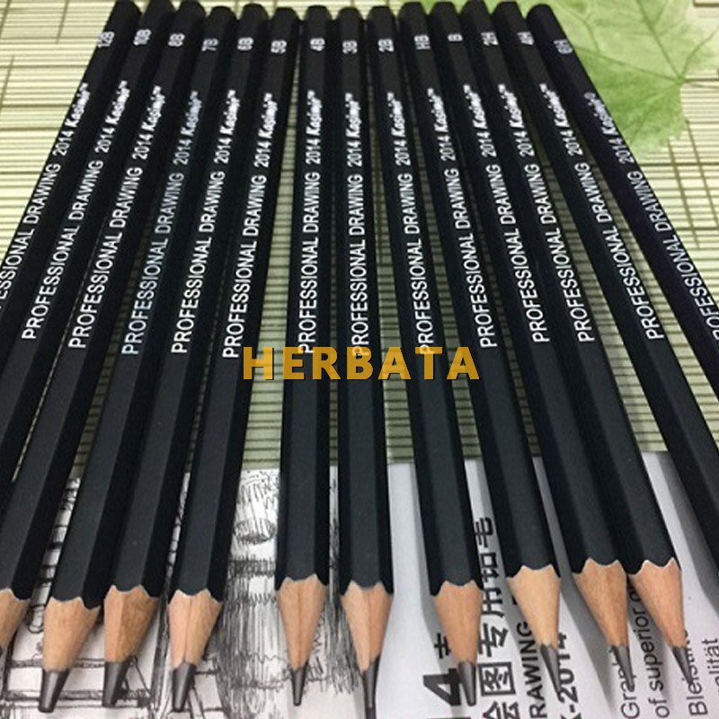 Artist 14Pcs/set Graphite 2H-8B Sketch Pencil Set For Pencil Drawing Tools Charcoal Pencils Set Art Supplies