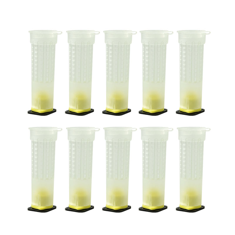 50 stuks 78mm Anti-Bite Bee Koningin Kooi Bescherming Cover bee kooi Cover Multi-Functionele Kooi Bee bijenteelt bijenteelt Gereedschappen