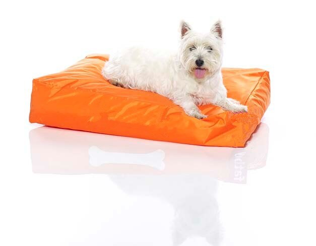 Lit pour chien en mousse à mémoire de forme, Orange, imperméable, fabricant et leader en chine