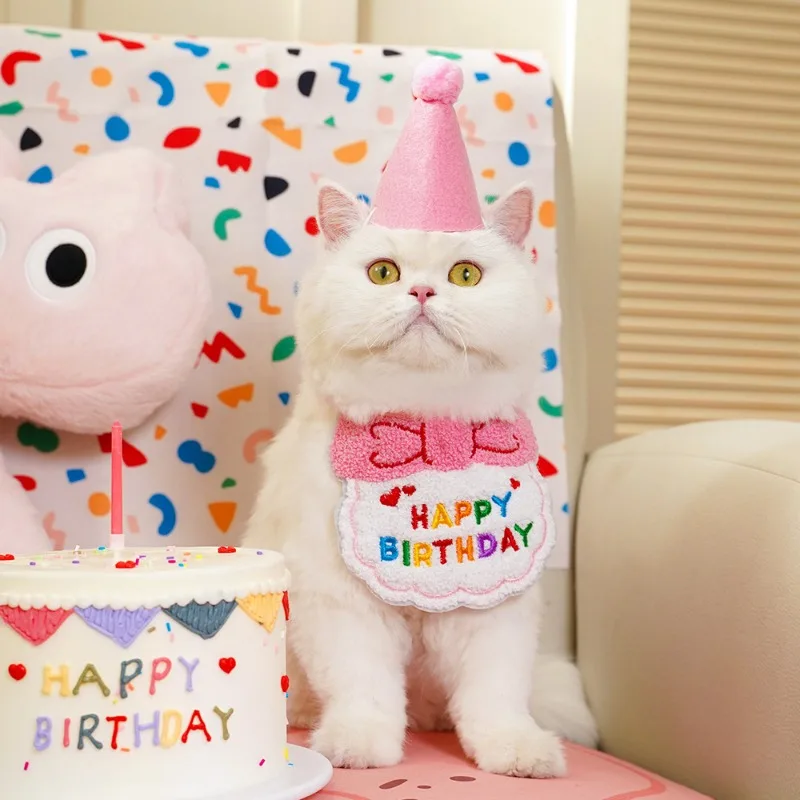 Schattige hond kat puppy verjaardag hoed & bandana set kat hond accessoires huisdier verjaardagsbenodigdheden