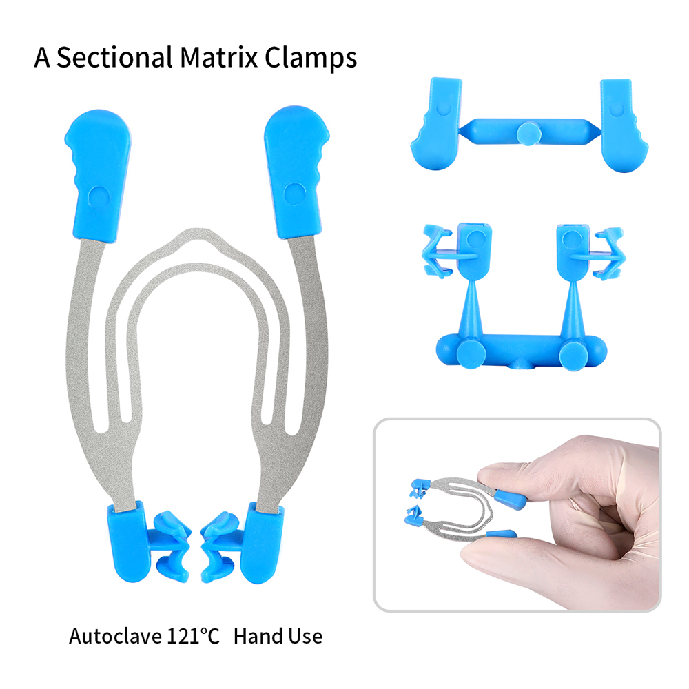 Sectional Matrix Instrument AZDENT Dental Matrix Sectional Contoured Matrices ... – Grandado