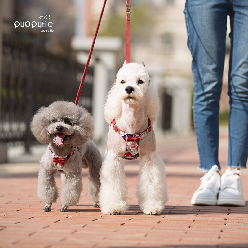 Printed Small Dog Harness Vest with Bowtie Soft Padded for Puppy Pet Dog Walking Training Harness Yorkshire Chihuahua Accesorios