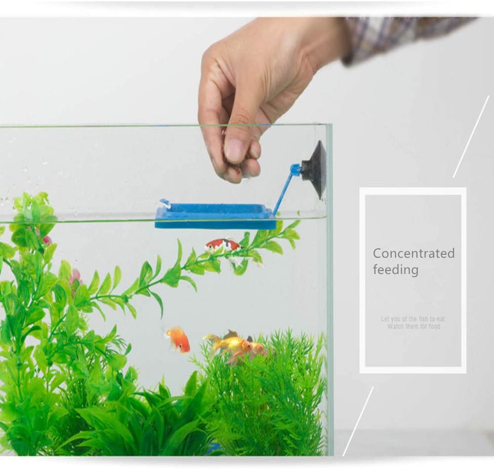 Anillo de alimentación para peces, alimentador de comida flotante seguro para peces, circular azul con ventosa, fácil de instalar, Forma cuadrada y redonda para acuario