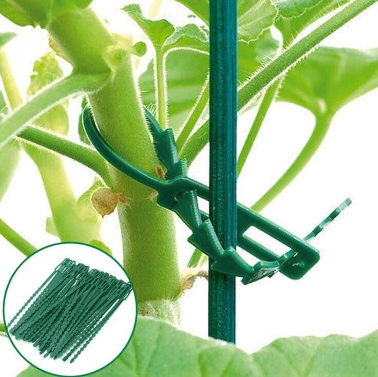 50pcs Plastic Garden Plant Cable Ties Tree Climbing Support Garden Plant Pot Reusable Flower Plant Tie Adjustable Garden Tools