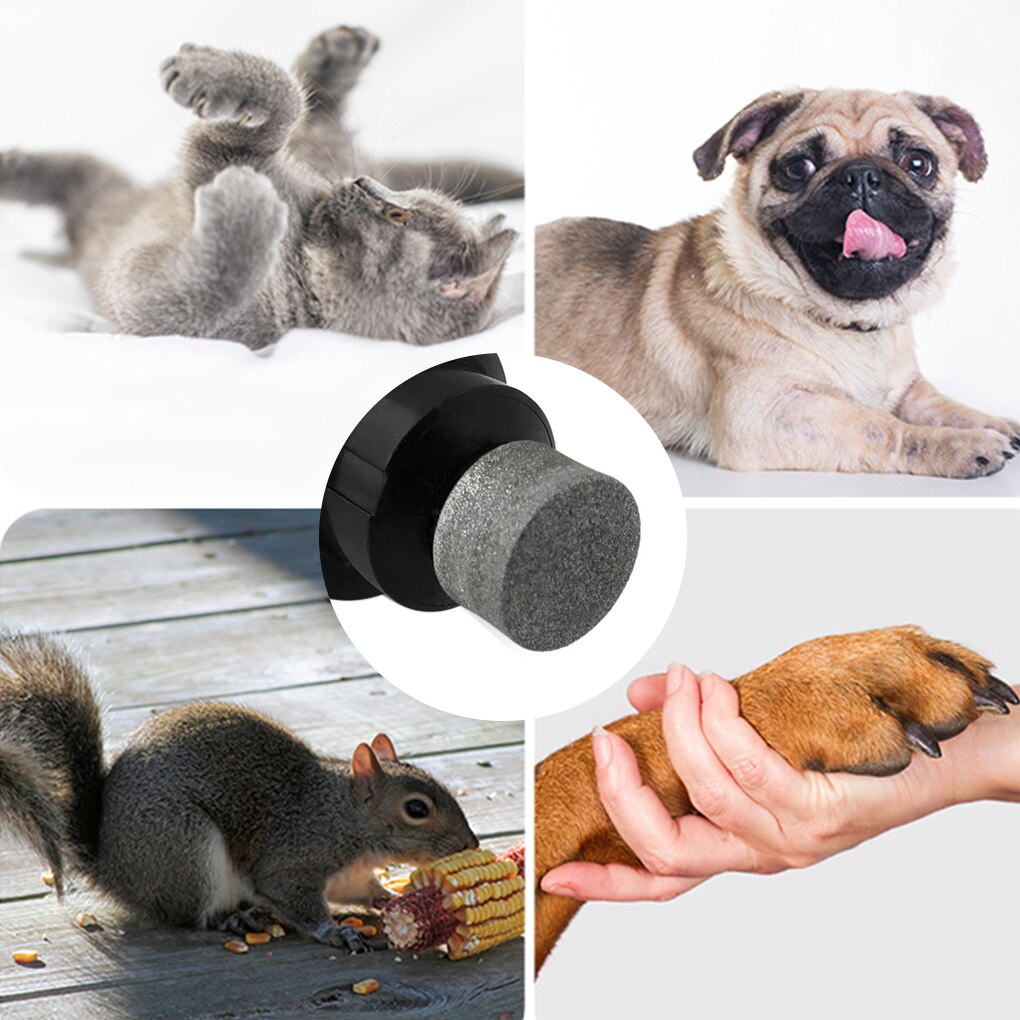 Máquina pulidora automática de lima de uñas para mascotas, herramienta recortadora para manicura y pedicura