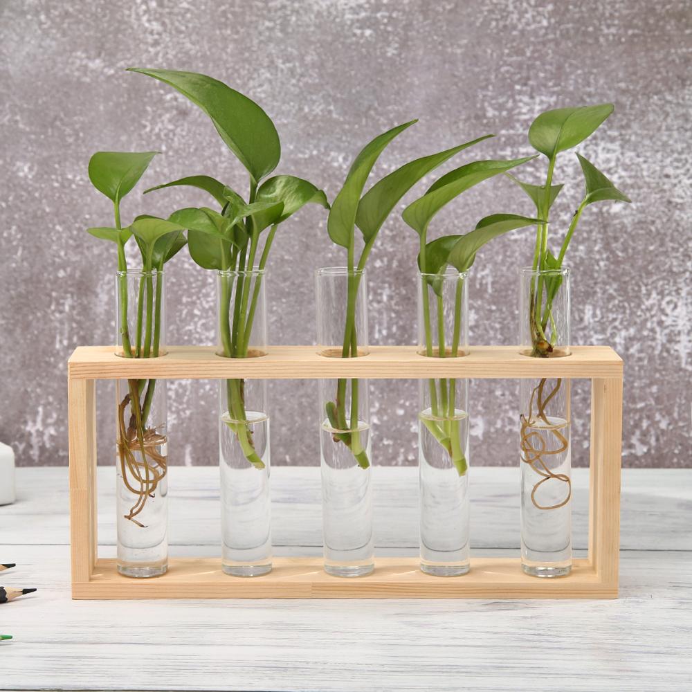 Glas En Hout Vaas Planter Terrarium Tafel Desktop Hydrocultuur Lade Home Decor Plant Bonsai Bloempot Opknoping Potten Met Houten: plum