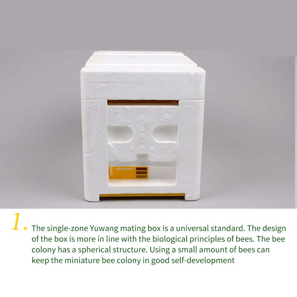Bee Hive Beekeeping King Box Pollination Box Foam Frames Beekeeping Tool Kit Harvest Bee Hive Home Hive Case Beekeeper tools