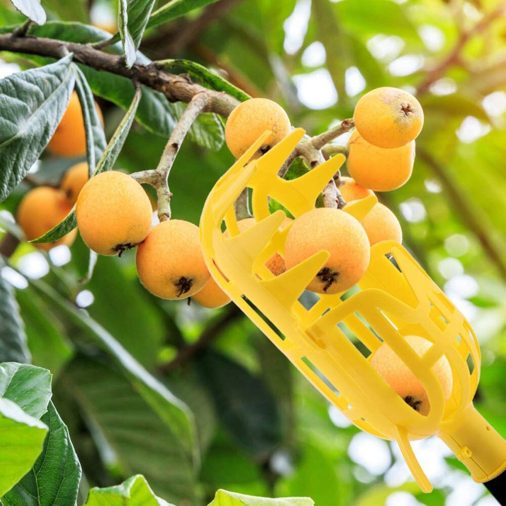 Garden Tools Fruit Picker Collection Picking Head ... – Grandado