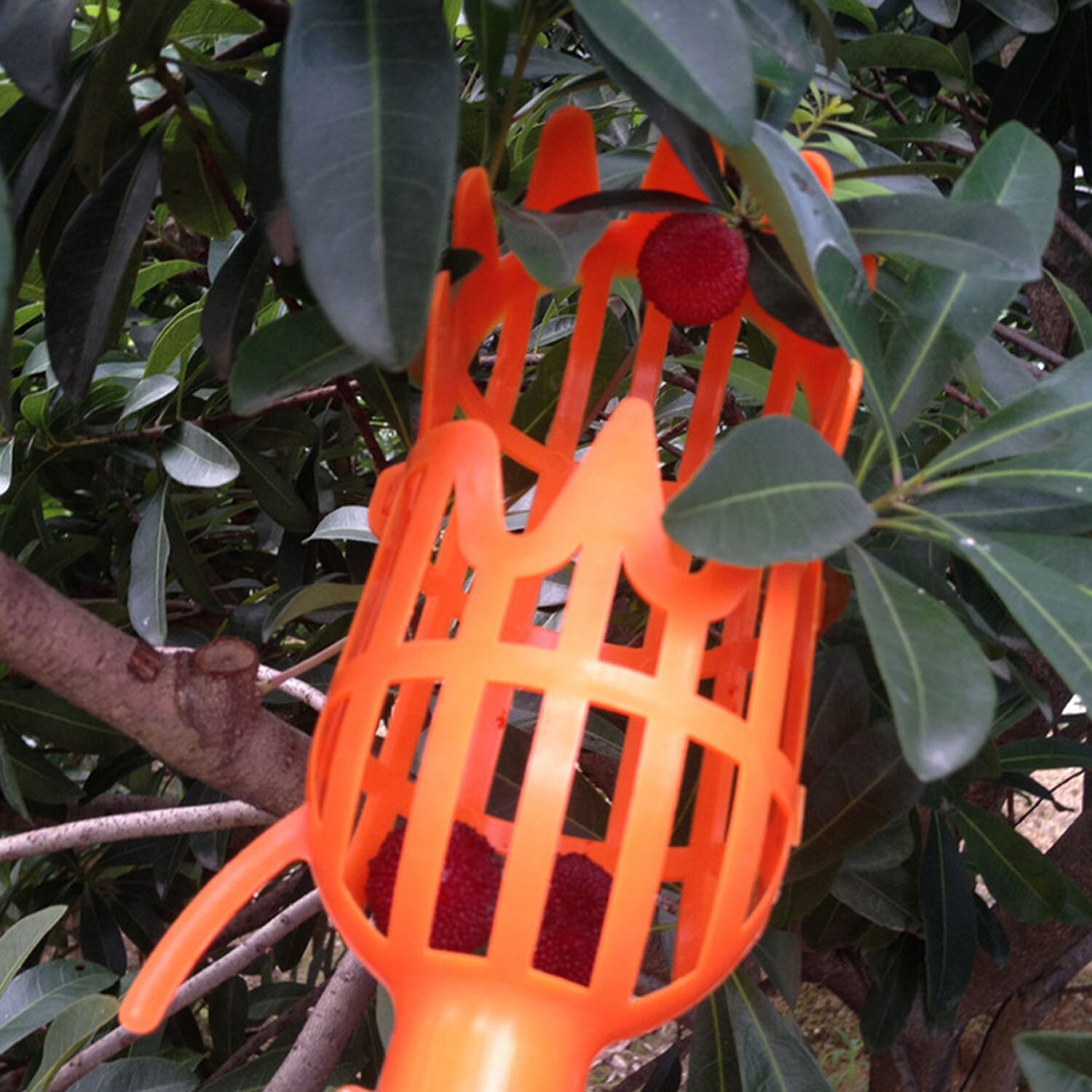 ANENG Plastic Fruit Picker Basket Head Catcher Gardening Tool for Harvest Picking Apple Mango Pear Peach Small Fruits