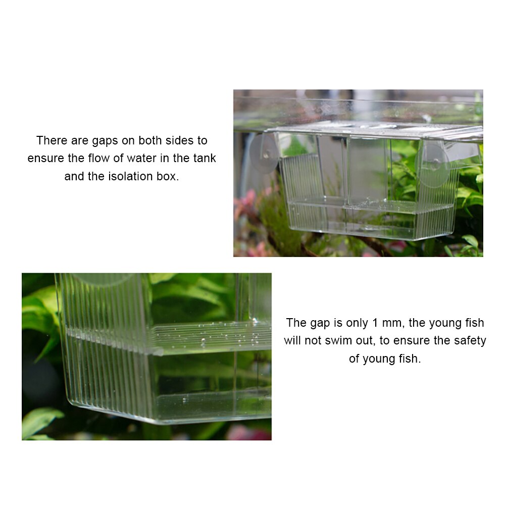 Aquarium Fish Breeding Isolation Box Breeder Box Fish Incubator Woth High Strength Suction Cup Fish Breeding Accessories Product