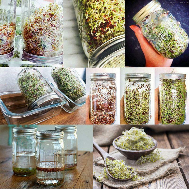 Sprouting Jar with Stainless Steel Screen Lid Wide Mouth Quart Mason Sprouter